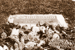 grave